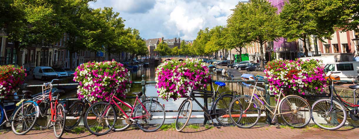 Bikes and flowers on canal bridge, Amsterdam