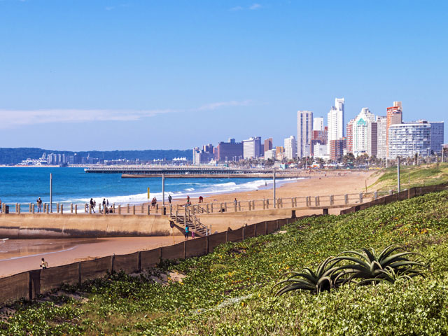 Dune vegetation on Durban beach, South Africa