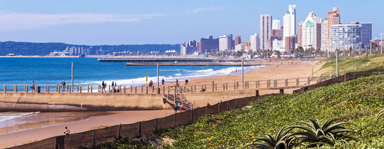 Dune vegetation on Durban beach, South Africa