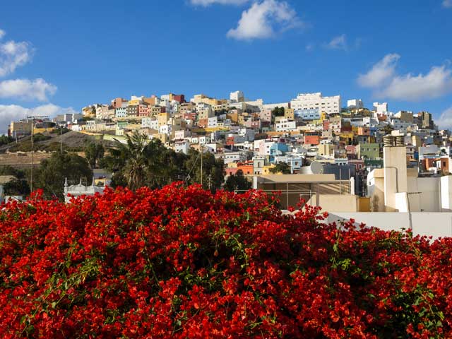 View of Las Plamas with red flower bush, Spain