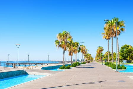 Limassol promenade and palm trees, Cyprus