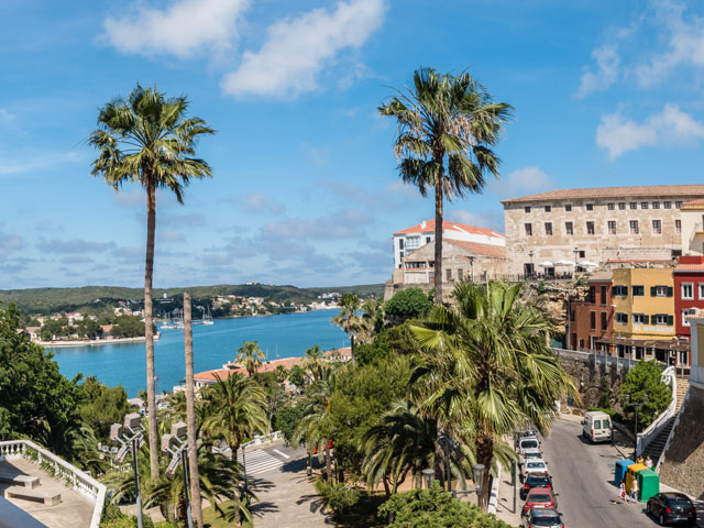 Palm trees and view of old town port in Mahon, Menorca
