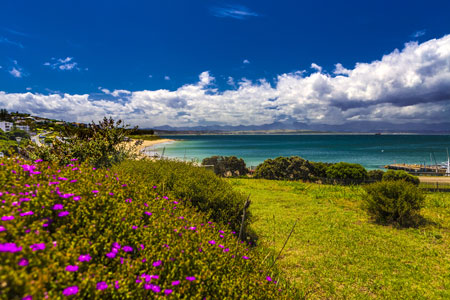 Botanical garden of the Bartolomeu Dias Museum complex, Mossel Bay