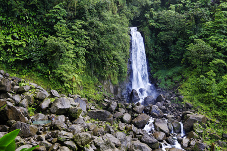 Trafalgar Falls in Morne Trois Pitons National Park, Dominica