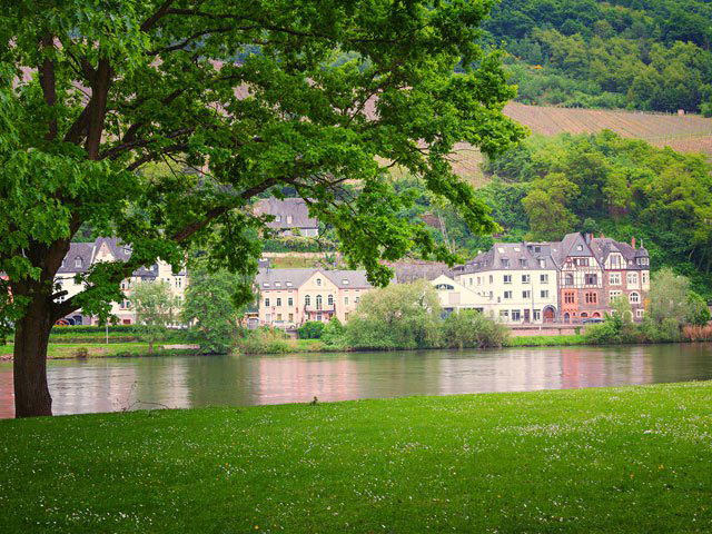 Traditional houses along the Moselle River Traditional houses along the Moselle River