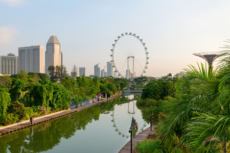 Skyline view from tropical park at Gardens by the Bay