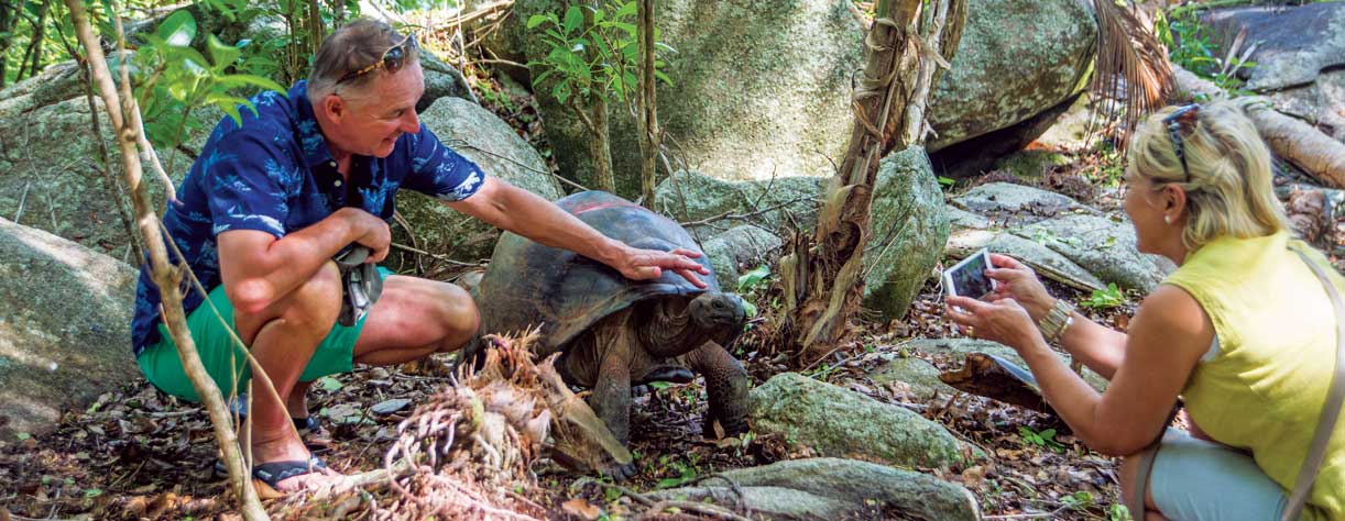 Giant Tortoises in Mahe, Seychelles
