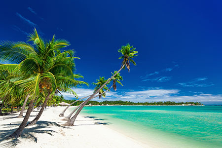 Palm trees over white beach in Fiji