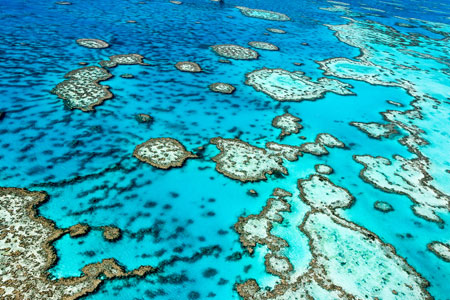 The-Great-Barrier-Reef-in-Queensland,-Australia