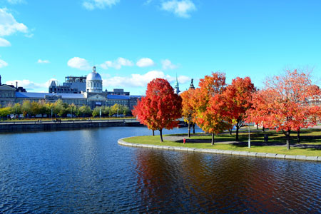 Montreal in Autumn, Canada