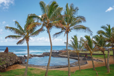 Natural pool surrounded by palm trees, Hanga Roa, Easter Island, Chile