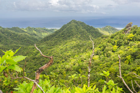 Cross Island Hike, Te Rua Manga, The Needle, Cook Islands, Rarotonga