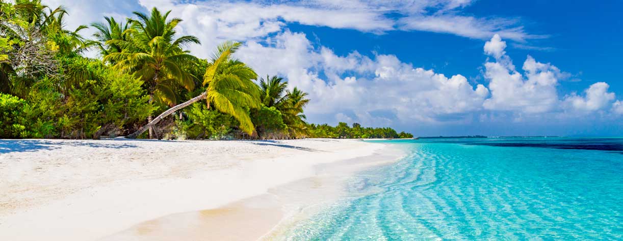 Beautiful beach with palm trees in Maldives