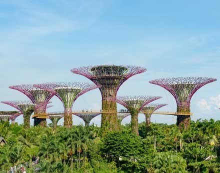 Supertrees in Singapore