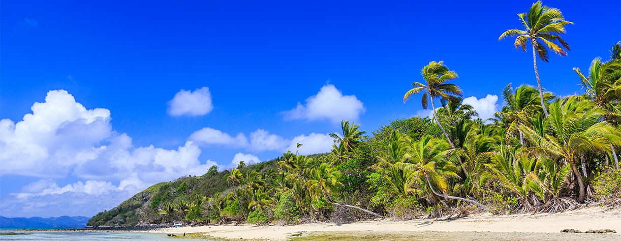 Dravuni Island, Fiji. Beach and palm trees in the South Pacific ocean.