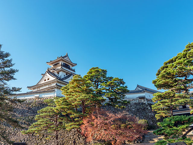 Castle tower of the Kochi castle in Kochi, Japan