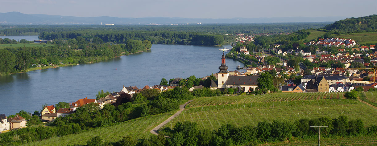Port Image
