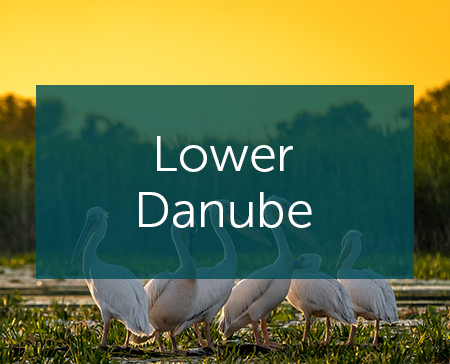 Lower Danube Lower Danube