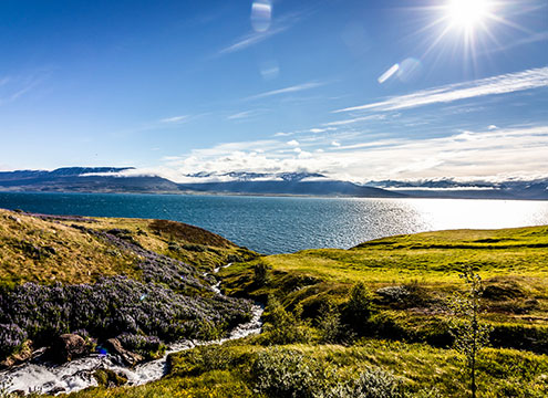 West Fjords of Iceland with picturesque moutains and waterfalls Icelandic Wonders & Wildlife