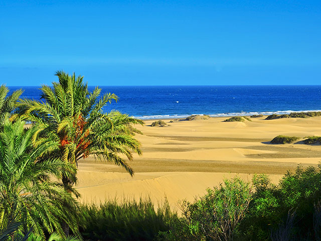 Maspalomas beach in Gran Canaria Maspalomas beach in Gran Canaria