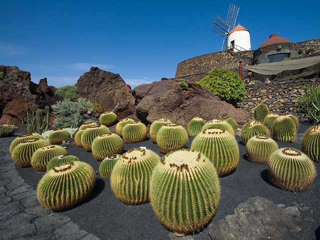 Lanzarote’s world-famous Manrique Cactus Garden