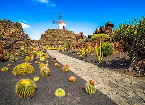 Lanzarote’s world-famous Manrique Cactus Garden Canaries & Portugal with Funchal Flower Parade