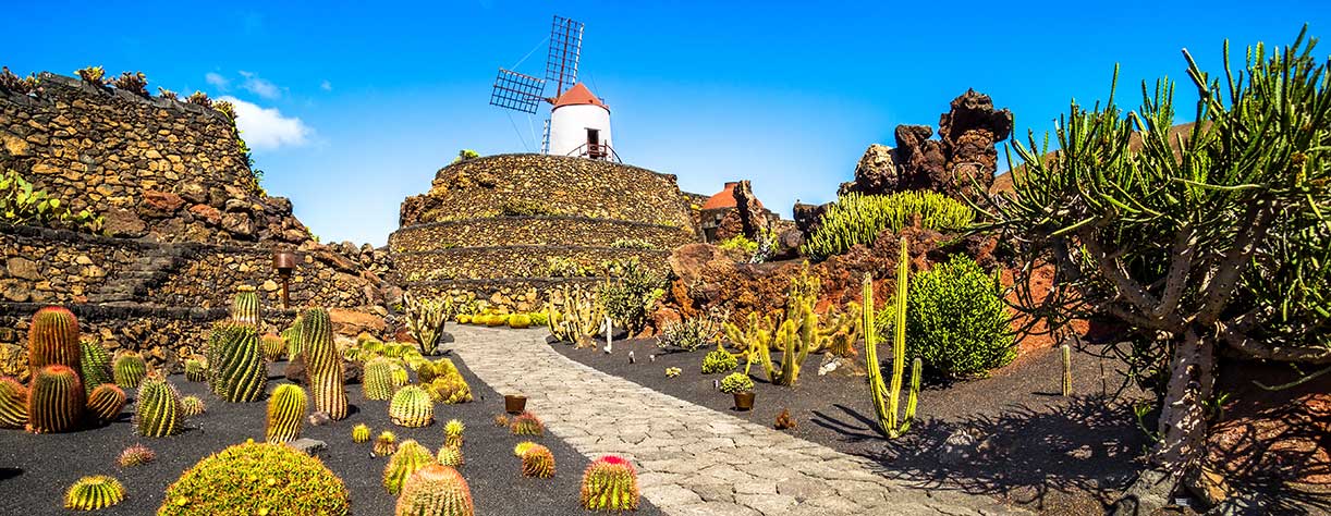 Lanzarote’s world-famous Manrique Cactus Garden