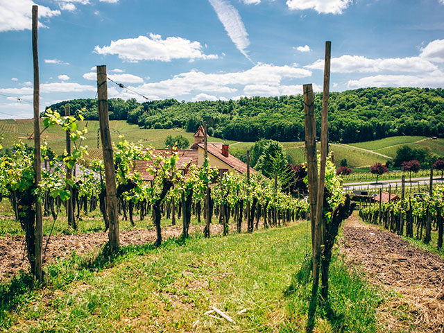 Wonderful landscapes from the wine road along the Moselle river in Luxembourg Wonderful landscapes from the wine road along the Moselle river in Luxembourg