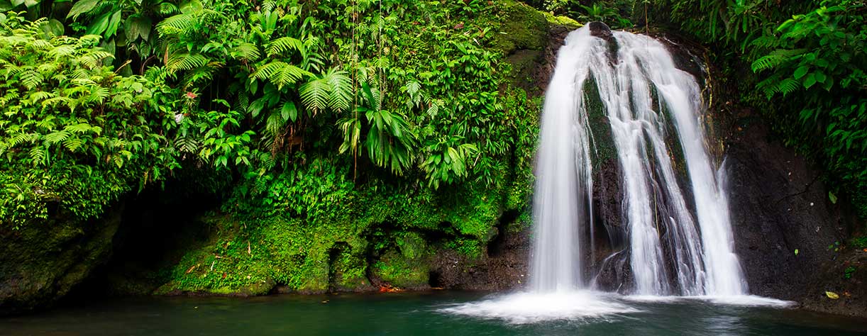 Waterfall in the National Park, Basse-Terre, Guadeloupe