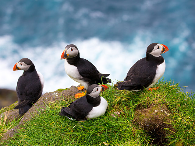 Cruising by Hestur (Horse Island), Faroe Islands