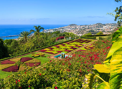 View of Botanical gardens Funchal, Madeira Canary Islands & Madeira Winter Warmth