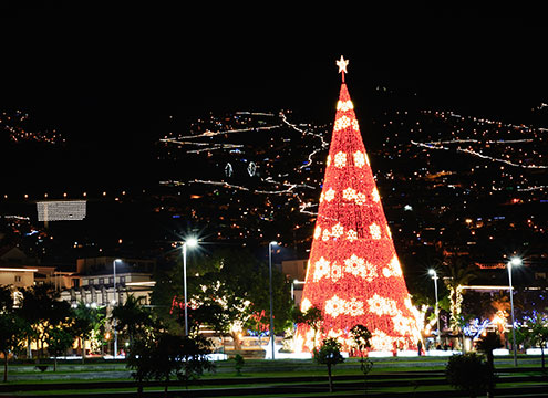 Christmas time in Funchal, Maderia Festive Escape to Madeira, Portugal & Spain