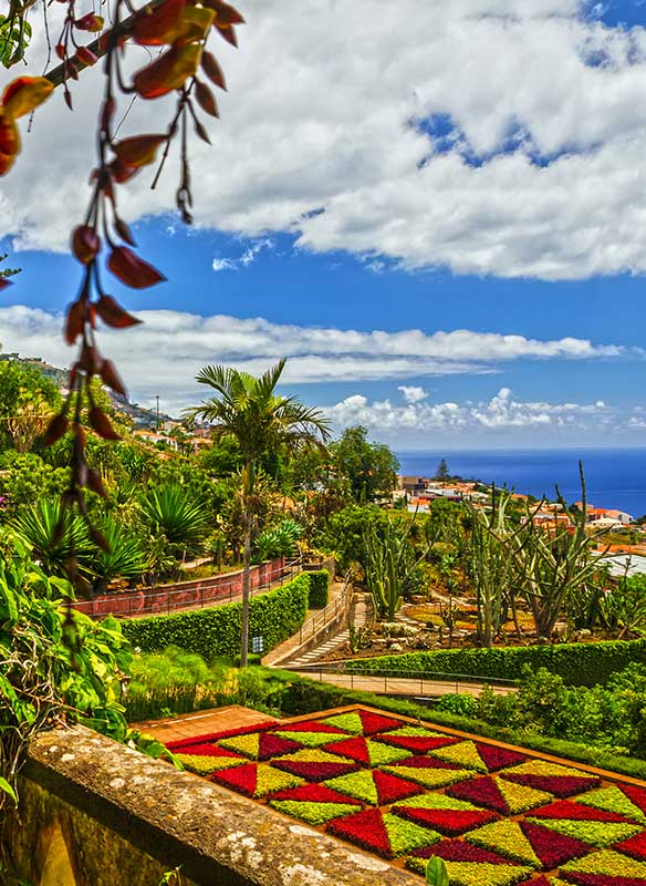 Botanical gardens in Funchal, Maderia