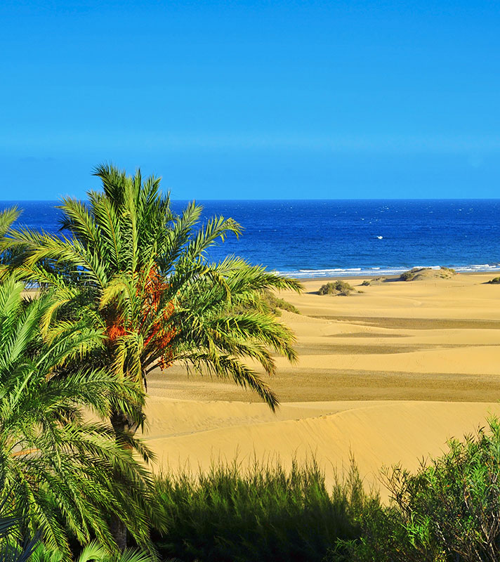 Canaries Escape with the Fleet Fiesta