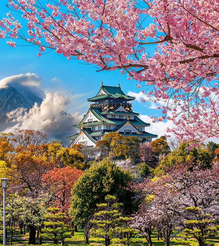 Osaka Castle and full cherry blossom, with Fuji mountain background, Japa Osaka Castle and full cherry blossom, with Fuji mountain background, Japa