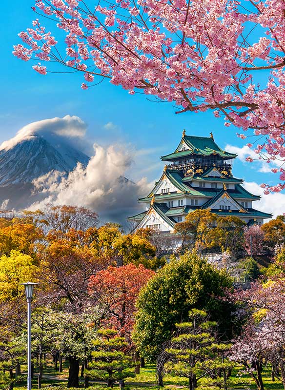 Osaka Castle and full cherry blossom, with Fuji mountain background, Japa Osaka Castle and full cherry blossom, with Fuji mountain background, Japa