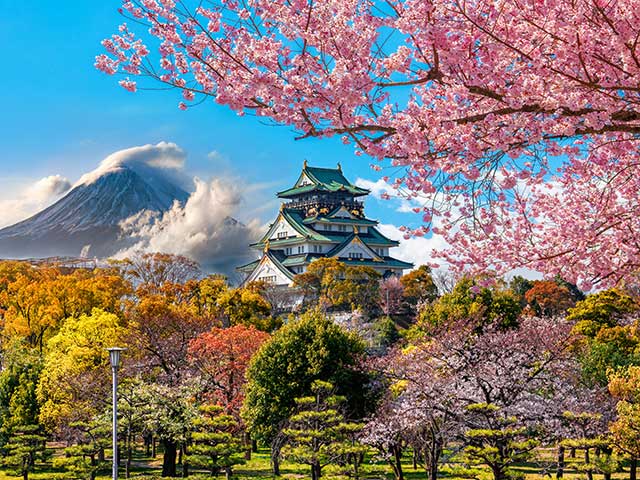 Osaka Castle and full cherry blossom, with Fuji mountain background, Japa Osaka Castle and full cherry blossom, with Fuji mountain background, Japa