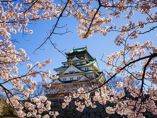 Osaka castle in cherry blossom season, Osaka, Japan