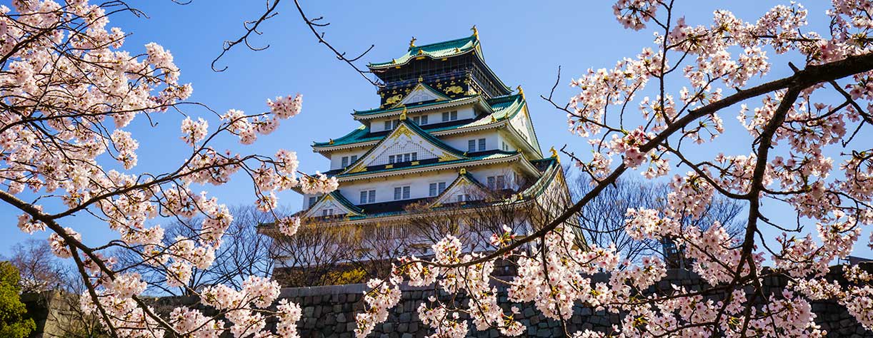 Osaka castle in cherry blossom season, Osaka, Japan