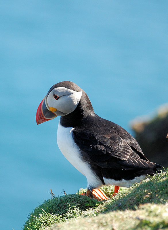 Faeroe Island Cruises | Fred. Olsen Cruises