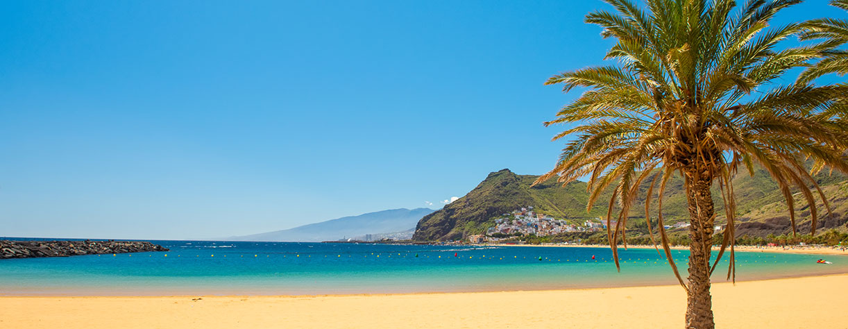 Palm trees on Playa de las Teresitas Beach, Tenerife