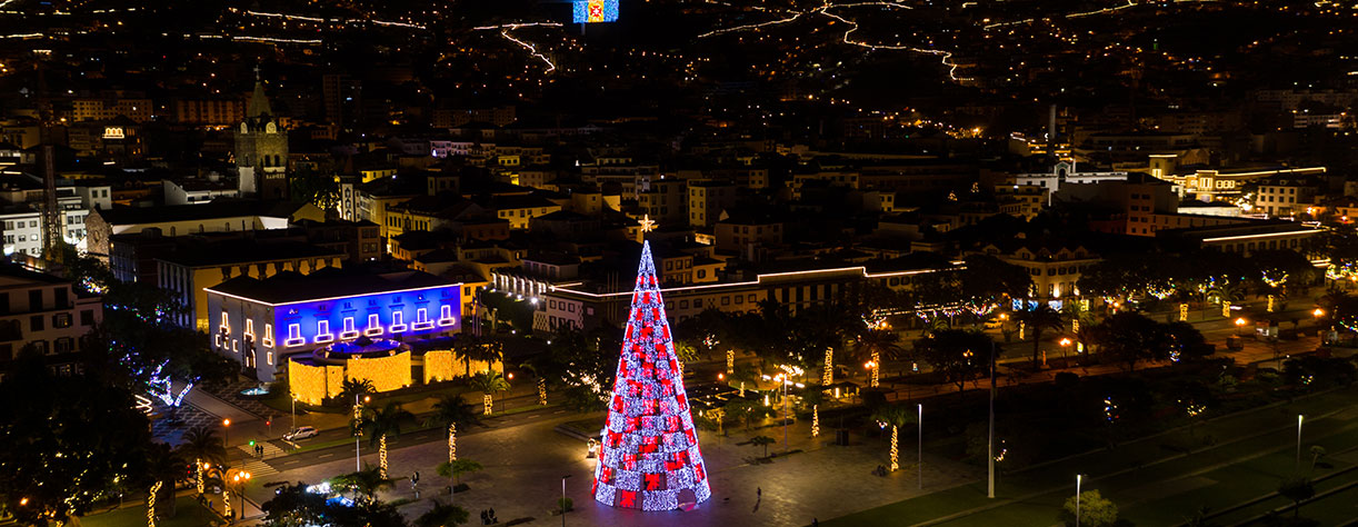 Aerial view of tree Christmas with Se church and Madeira flag in Funchal City, Madeira island, Portugal.