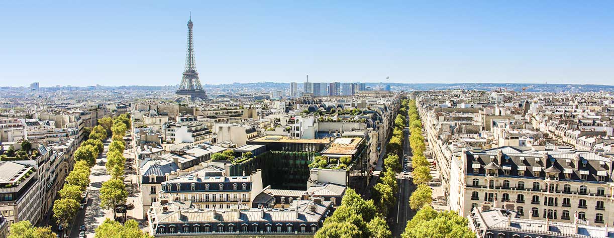 View of Paris with the Eiffel tower, France