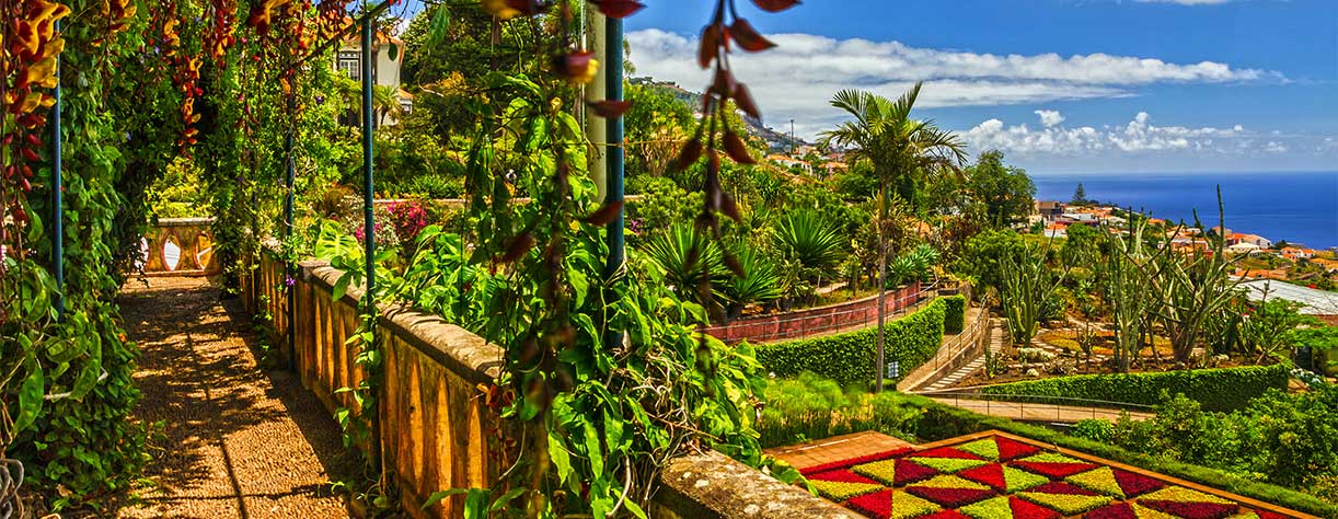Botanical gardens in Funchal, Maderia Botanical gardens in Funchal, Maderia