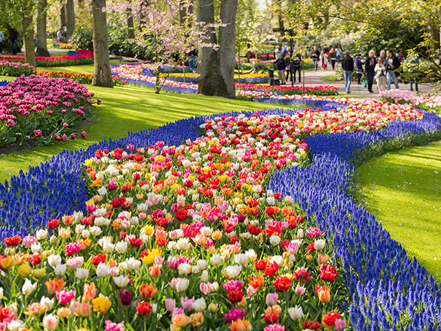 Keukenhof gardens in Netherlands