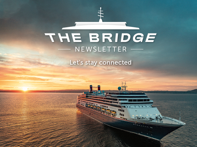 The Bridge Newsletter