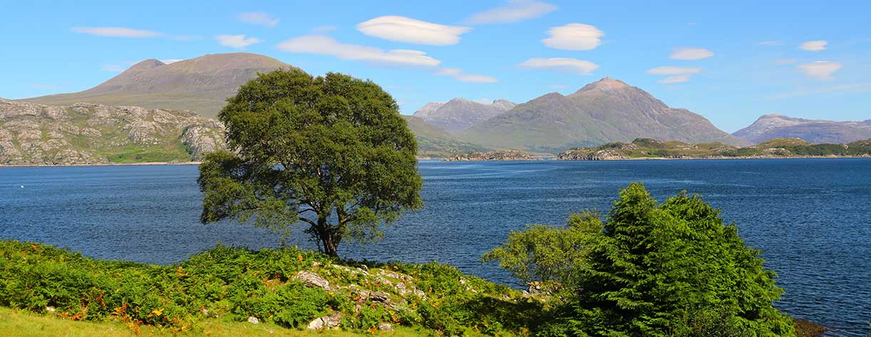 Trees overlooking Loch Sheildaig with the Torridon Mountains, Scotland