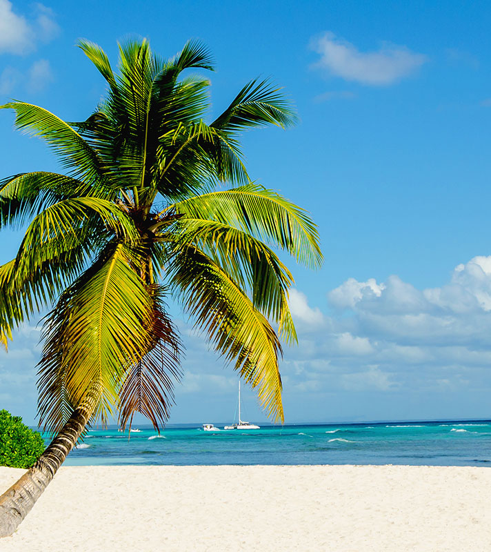 Caribbean Christmas Island-Hopping