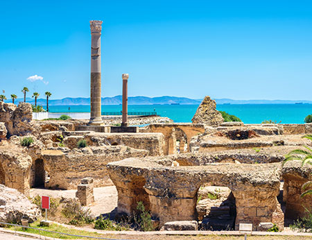 Panoramic view of ancient Carthage. Tunis, Tunisia