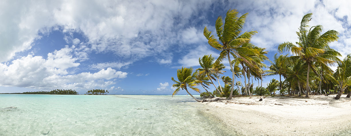 Paradise white sand beach and palm tree, Reunion Island